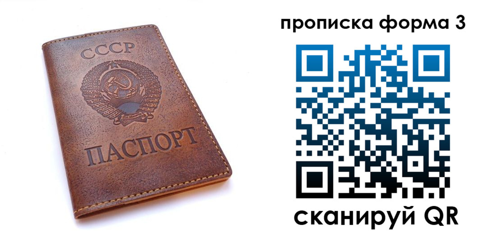 временная прописка в Химках